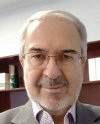 Mehmet Ulema